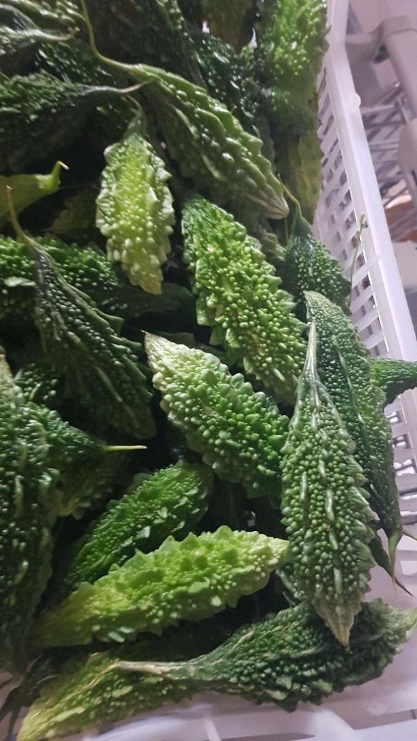 KARELA(BITTERE KÜRBIS)